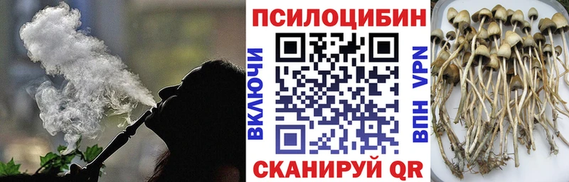 купить закладку Горячий Ключ Псилоцибиновые грибы мухоморы