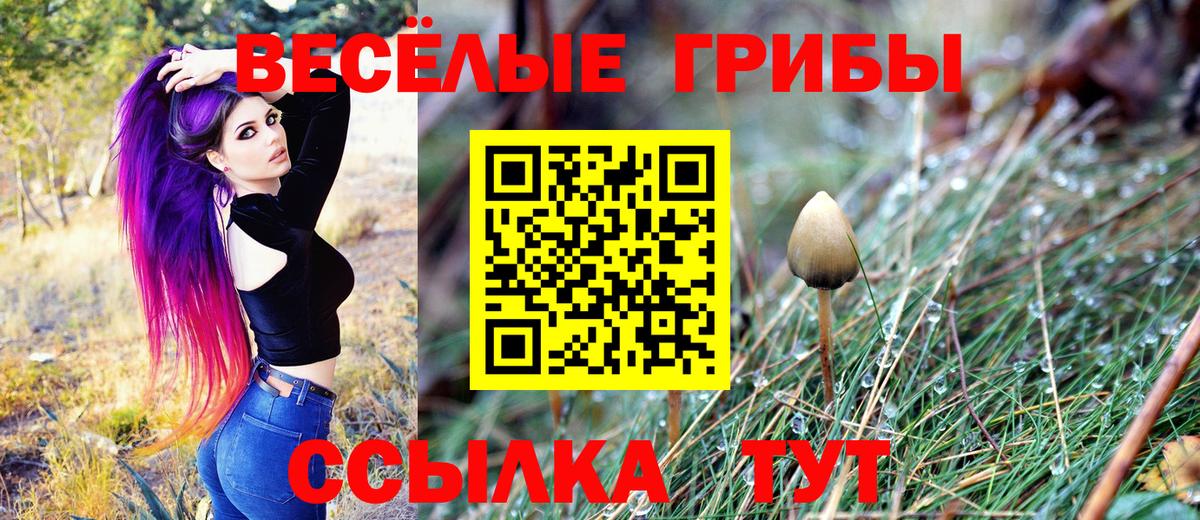 Галлюциногенные грибы Psilocybe  Вход с VPN  Горячий Ключ  Галлюциногенные грибы мицелий 