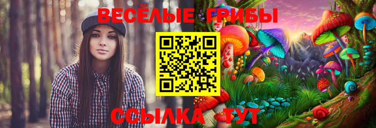 Псилоцибиновые грибы Magic Shrooms Горячий Ключ